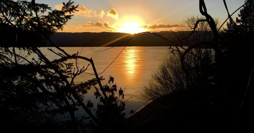 The Villa At Little Cape Horn Cathlamet エクステリア 写真